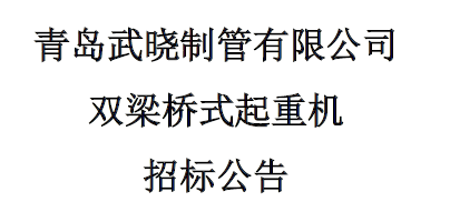 起重設(shè)備招標公告